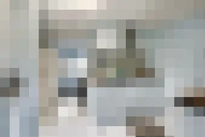 Hegebuorren 25 Holwert thumbnail 9