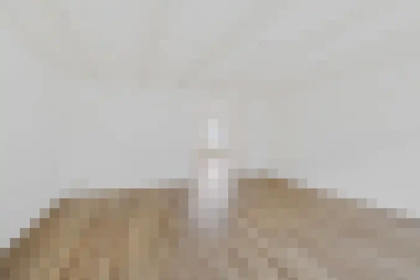 Hegebuorren 4 Holwert thumbnail 10