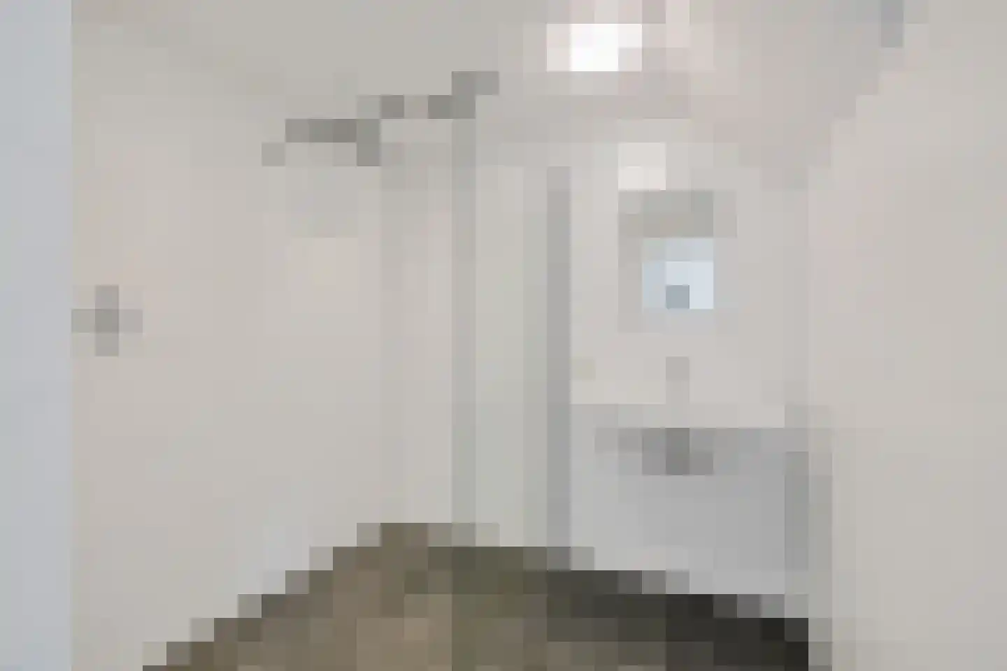 Hegebuorren 4 Holwert thumbnail 23
