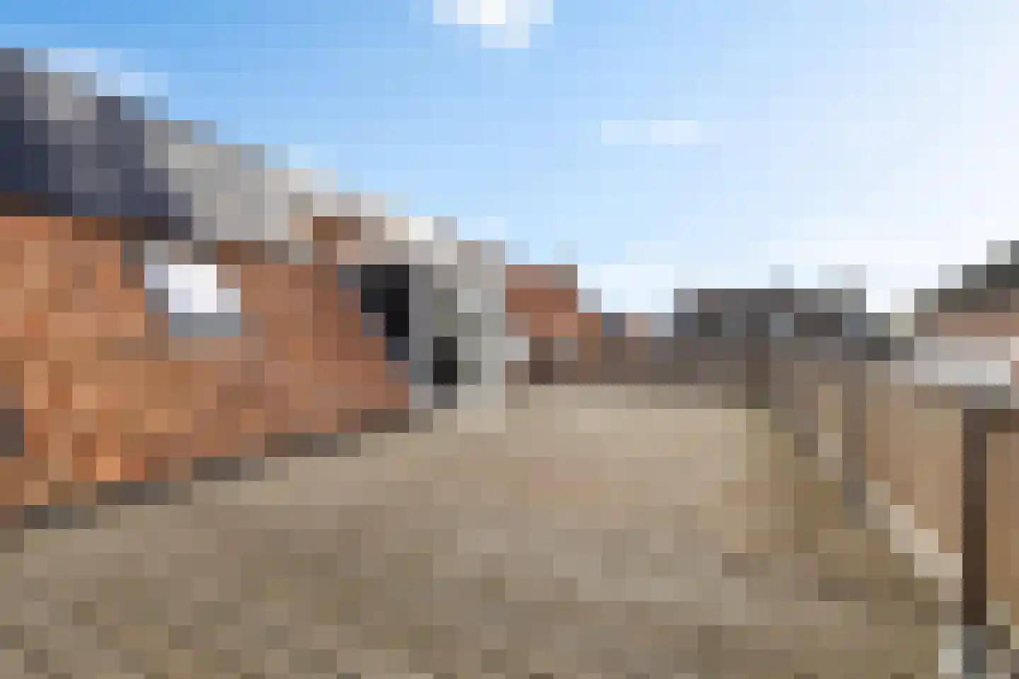 Hegebuorren 4 Holwert thumbnail 36