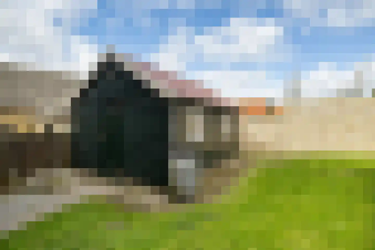 Hegebuorren 4 Holwert thumbnail 39