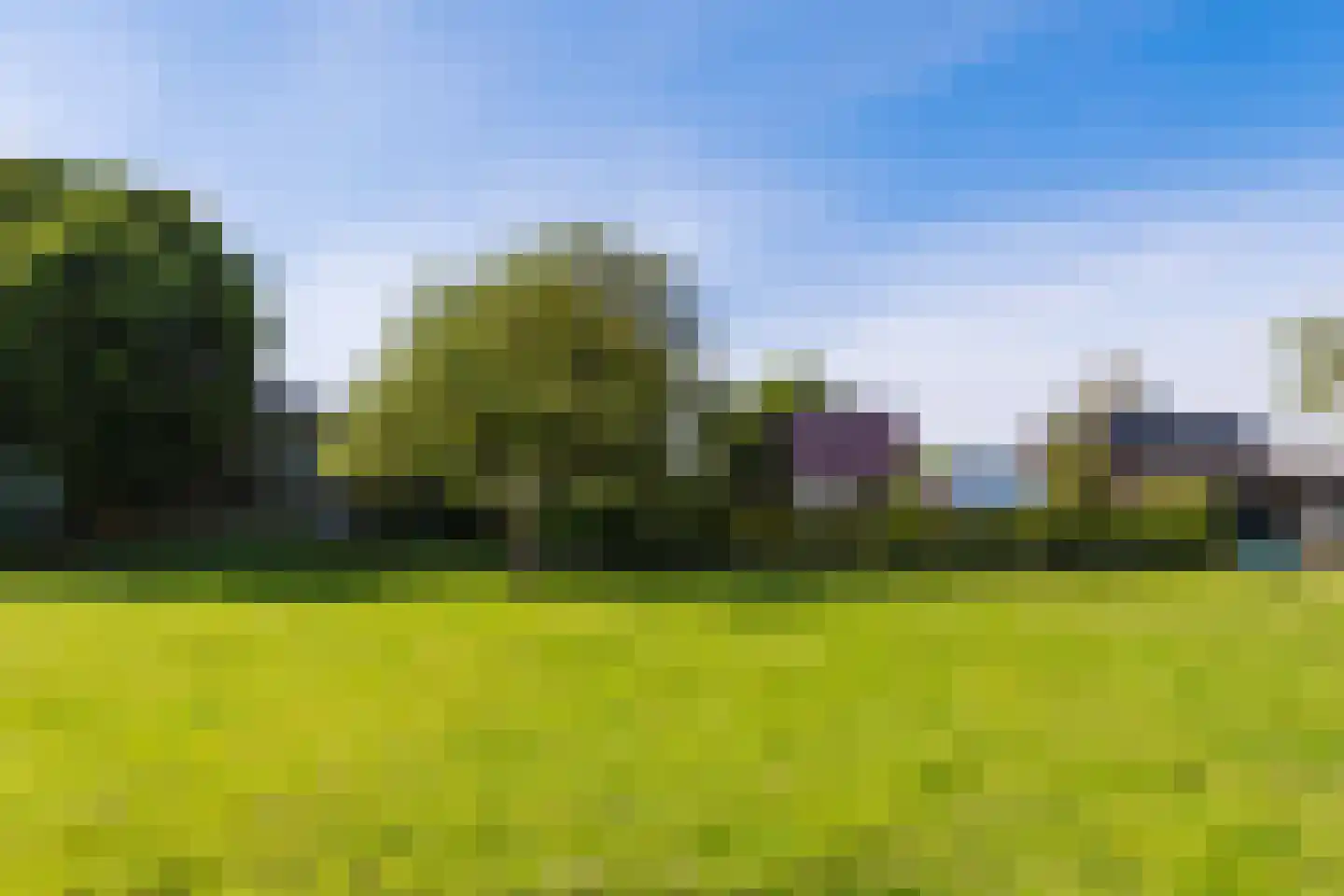 Hegedyk 26 Langezwaag thumbnail 12