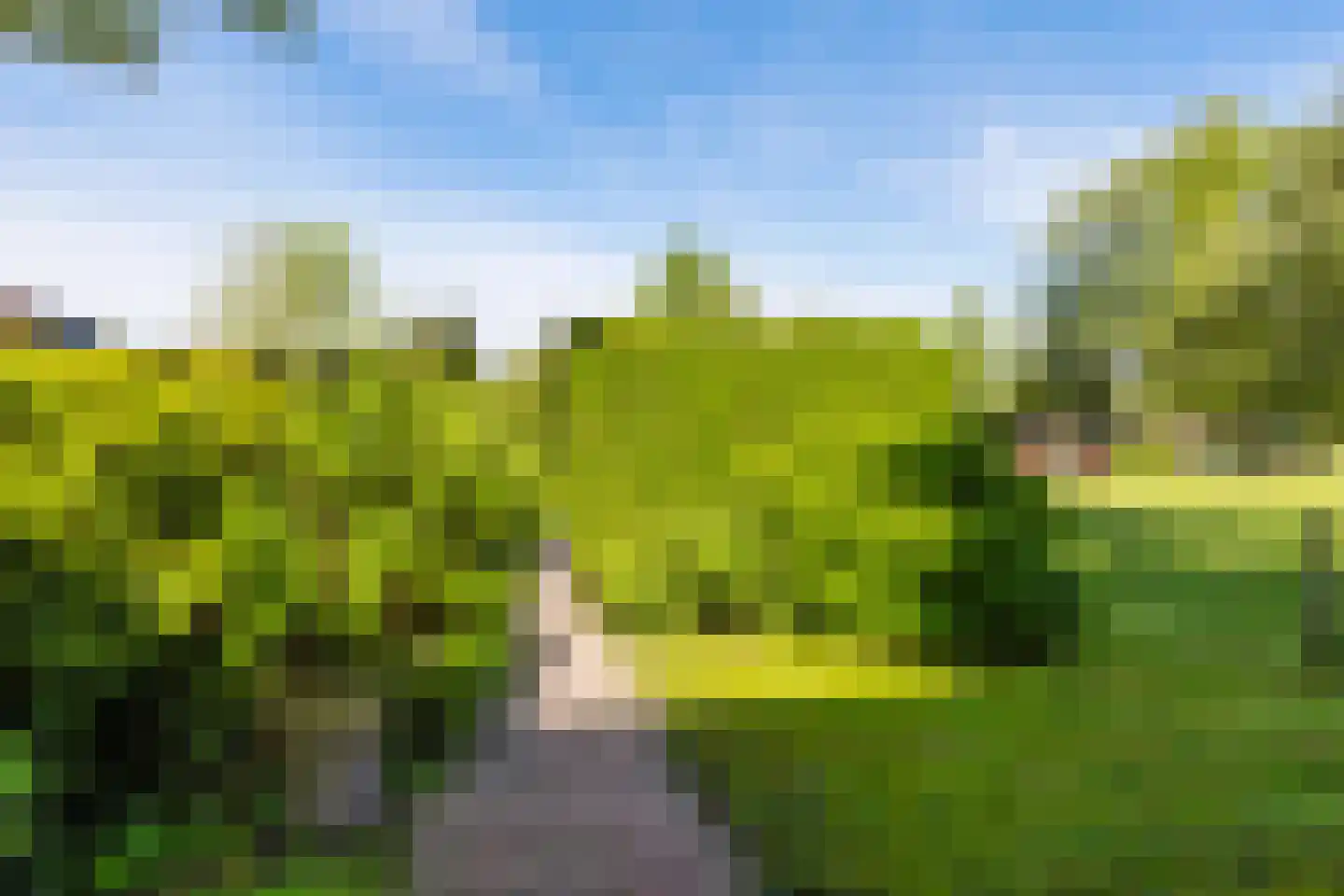 Hegedyk 26 Langezwaag thumbnail 19