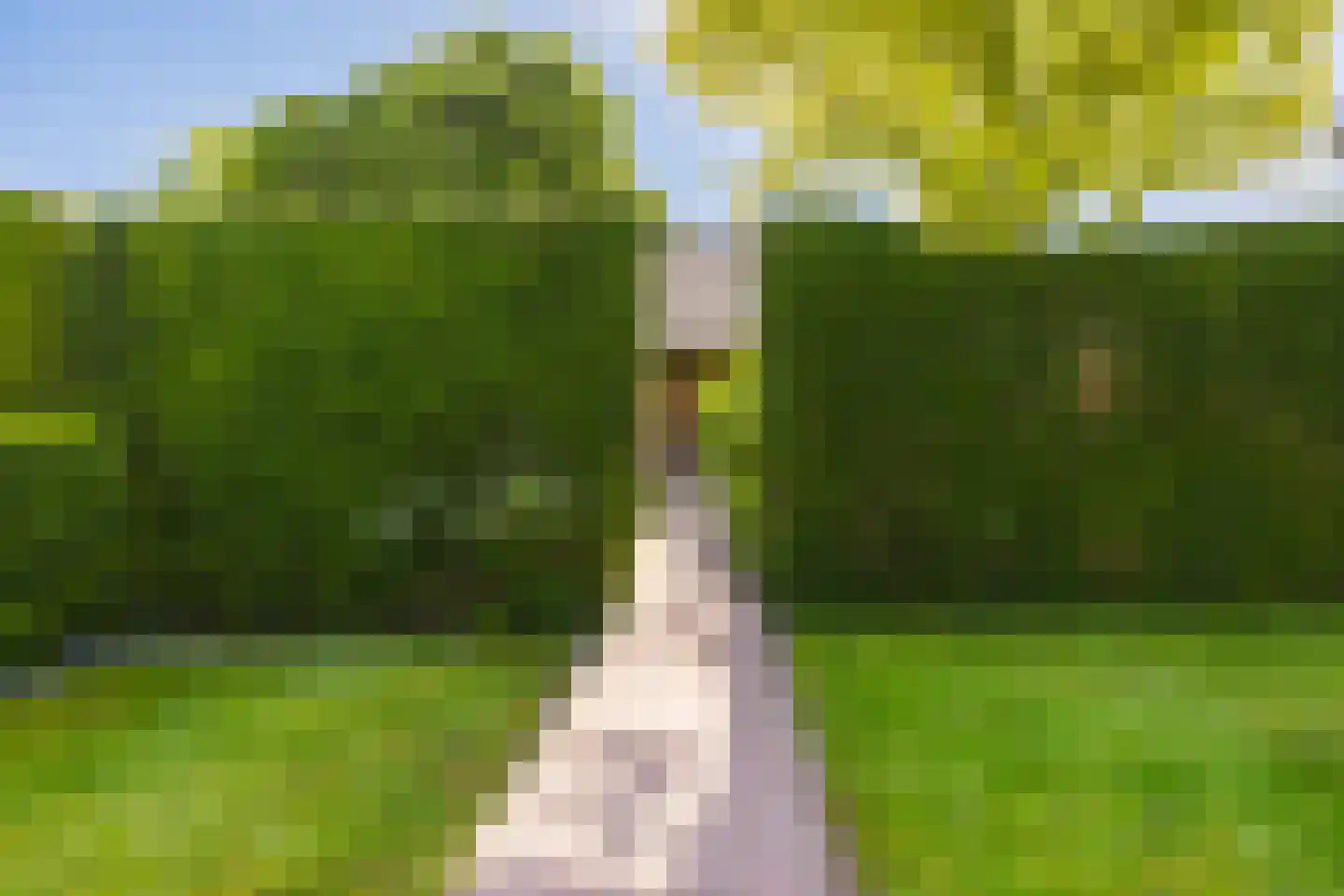 Hegedyk 26 Langezwaag thumbnail 20