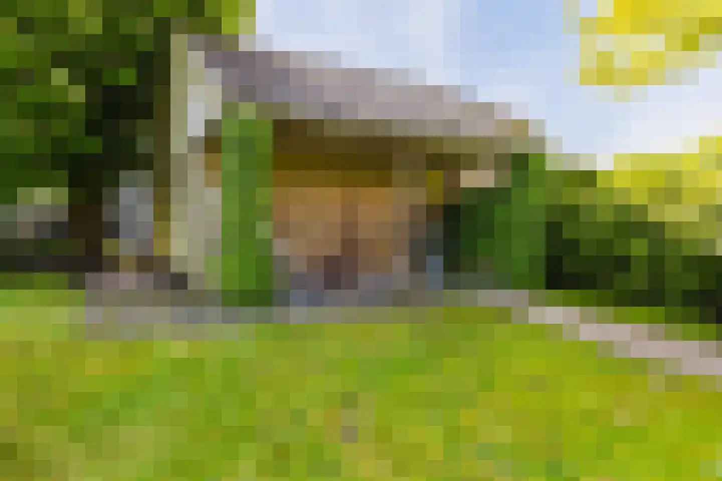 Hegedyk 26 Langezwaag thumbnail 21