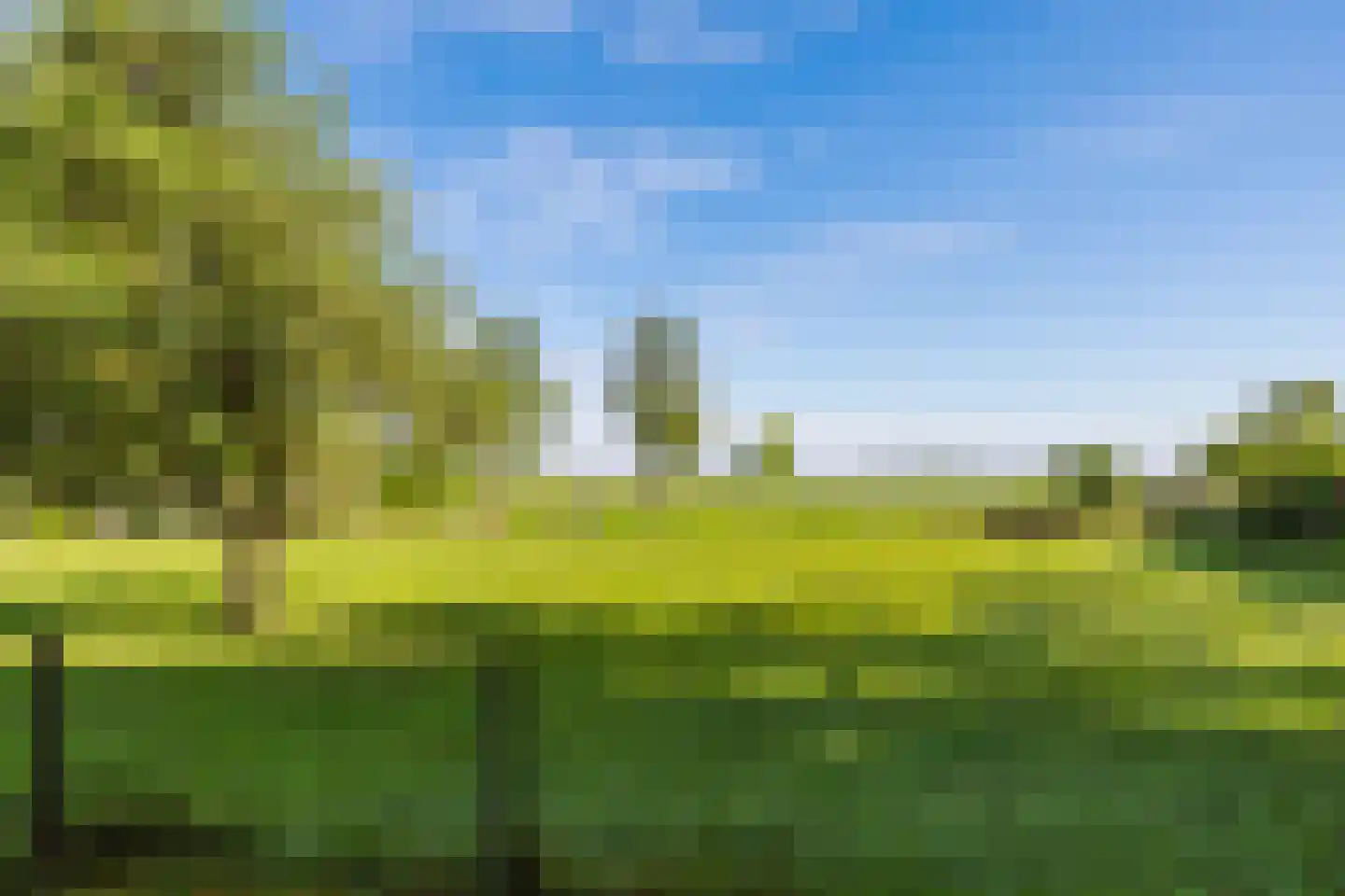 Hegedyk 26 Langezwaag thumbnail 22