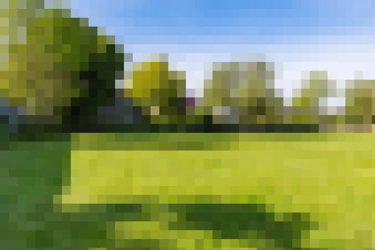 Hegedyk 26 Langezwaag thumbnail 23