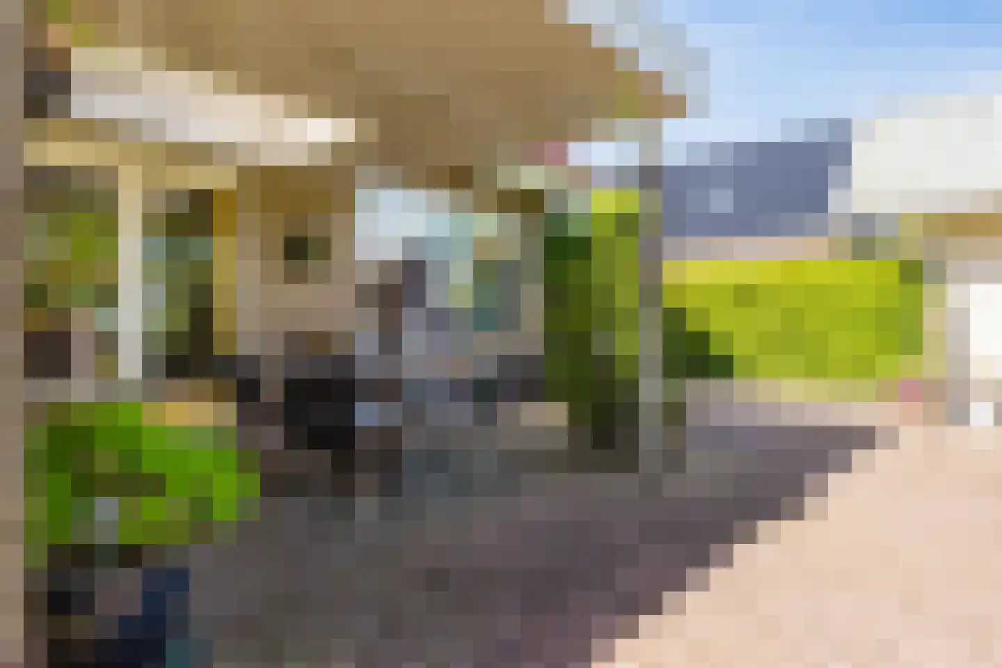 Hegedyk 26 Langezwaag thumbnail 25