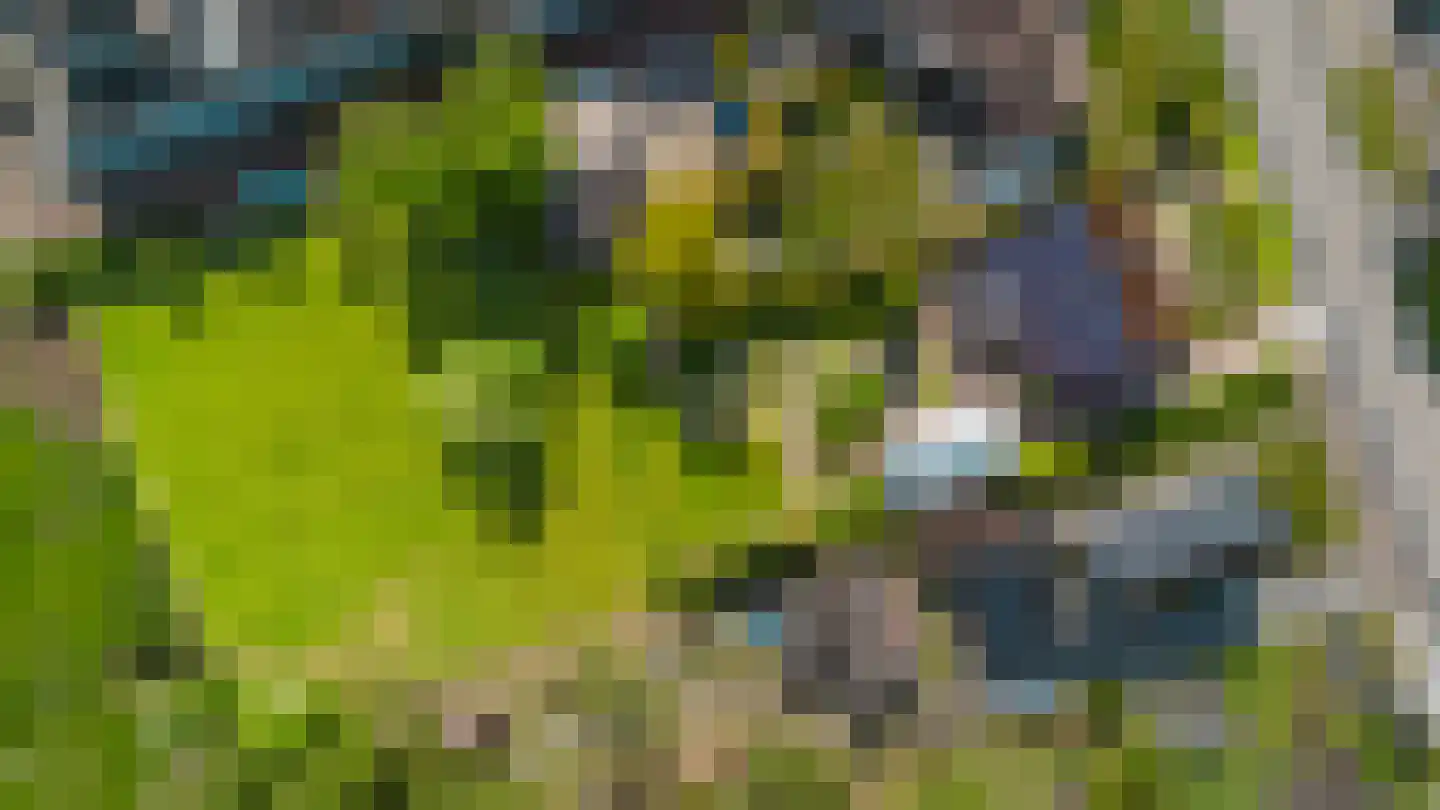 Hegedyk 26 Langezwaag thumbnail 26