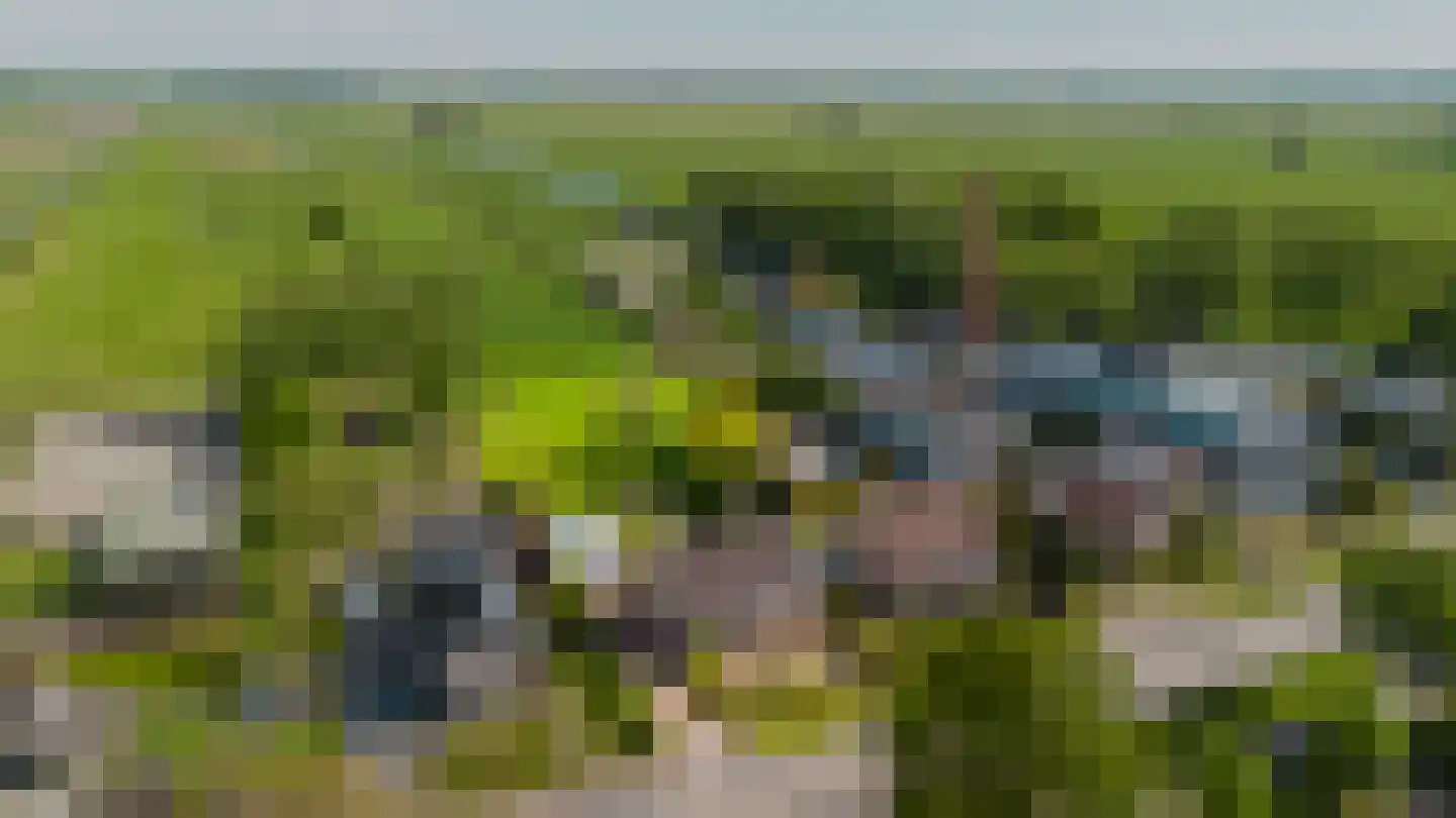 Hegedyk 26 Langezwaag thumbnail 27