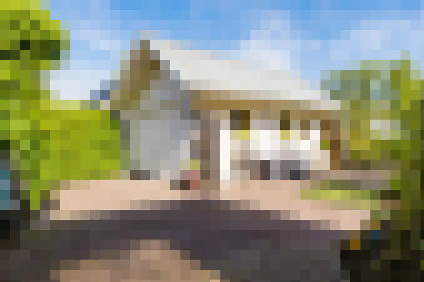 Hegedyk 26 Langezwaag thumbnail 28