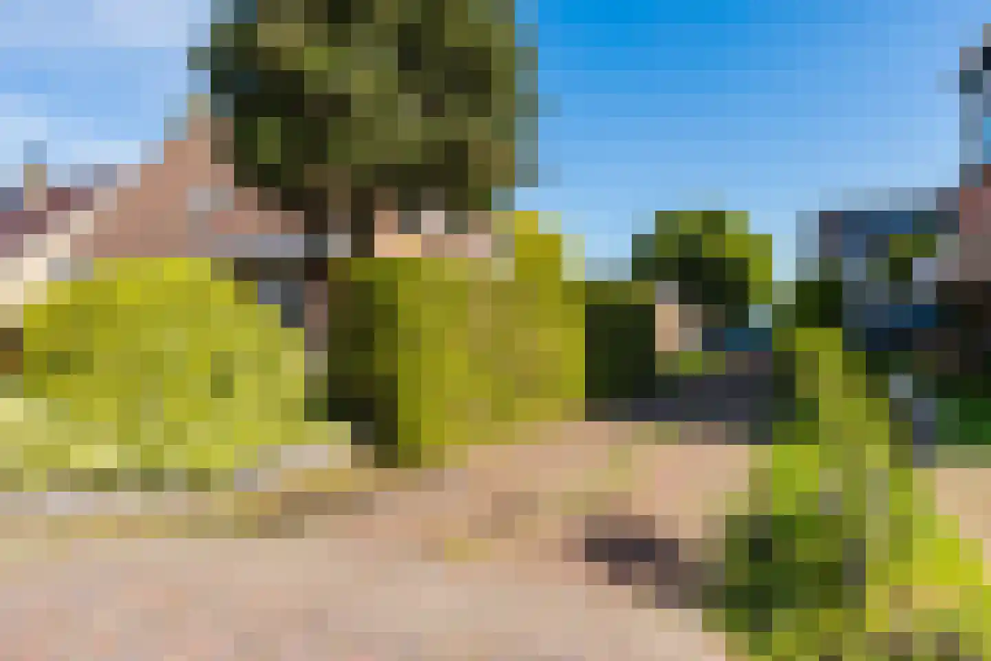 Hegedyk 26 Langezwaag thumbnail 30