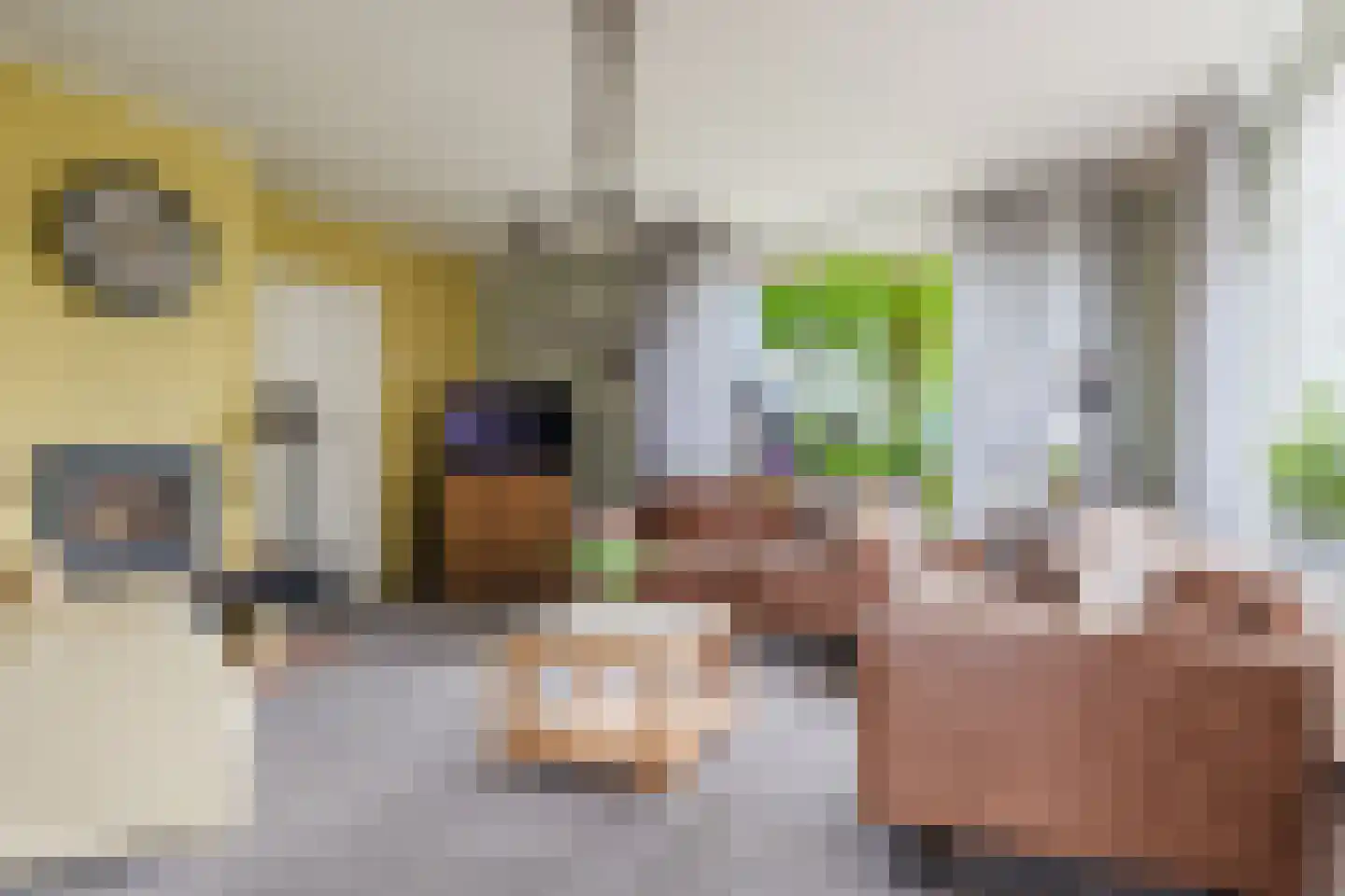 Hegedyk 26 Langezwaag thumbnail 37