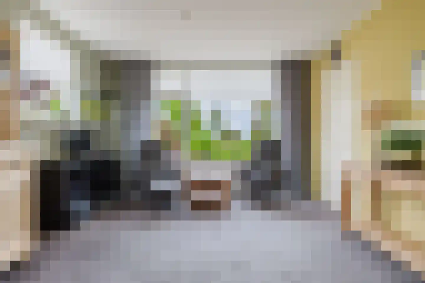 Hegedyk 26 Langezwaag thumbnail 38