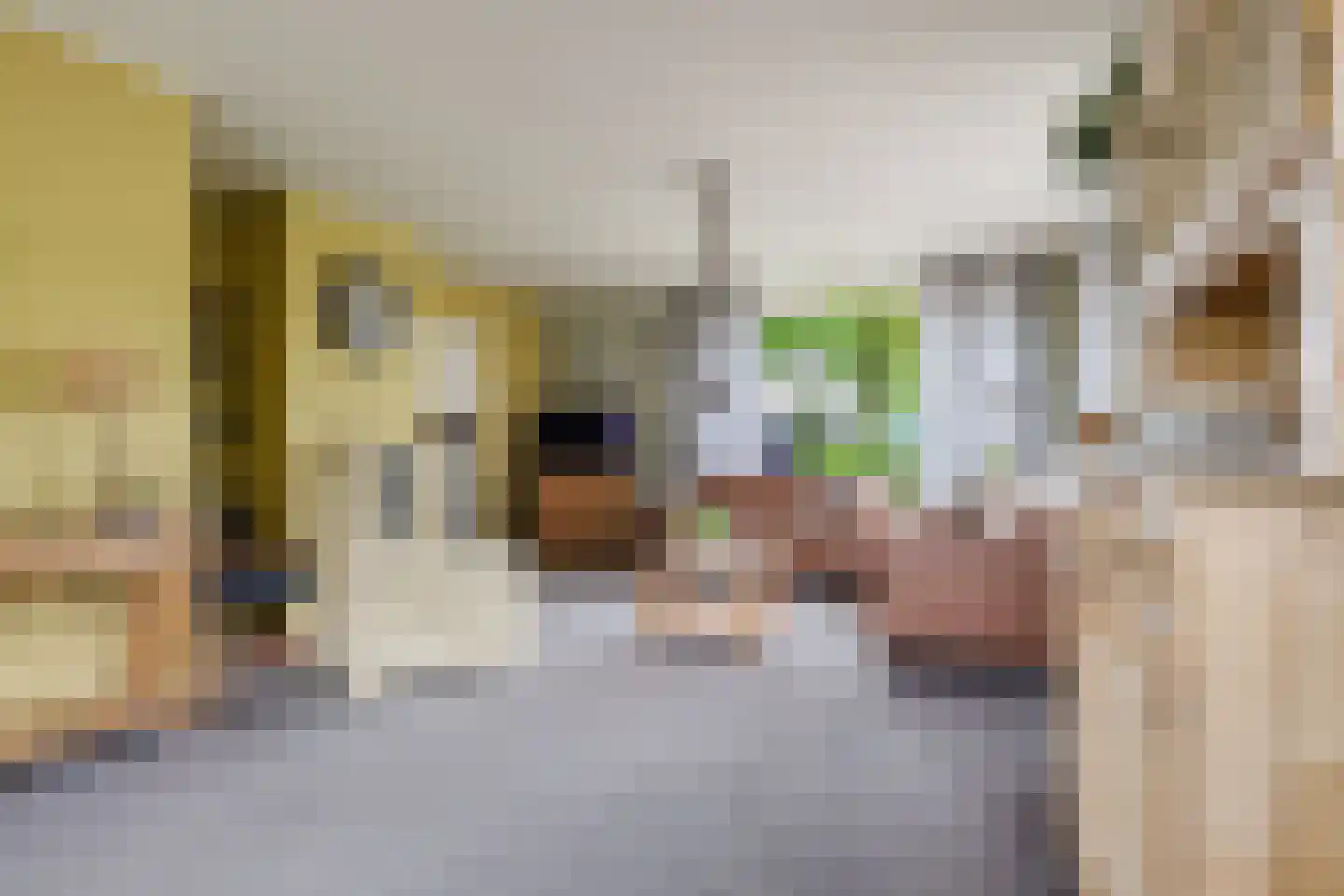 Hegedyk 26 Langezwaag thumbnail 39