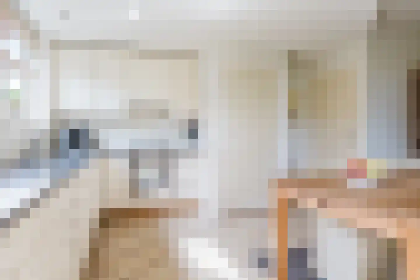 Hegedyk 26 Langezwaag thumbnail 41
