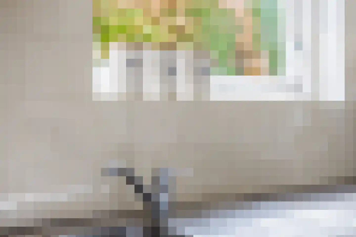 Hegedyk 26 Langezwaag thumbnail 42