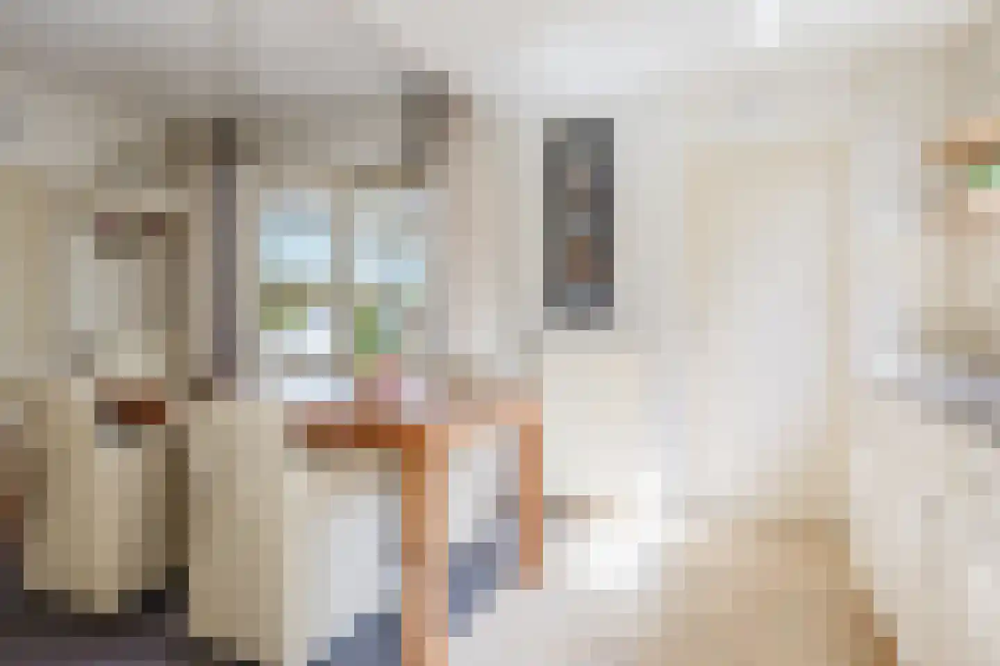 Hegedyk 26 Langezwaag thumbnail 44