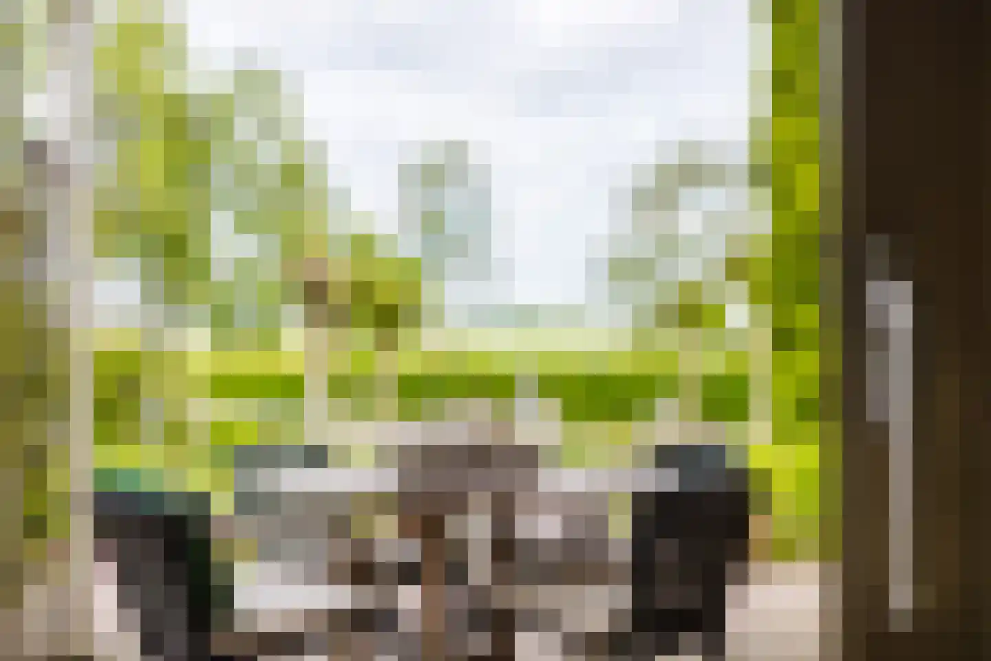 Hegedyk 26 Langezwaag thumbnail 45