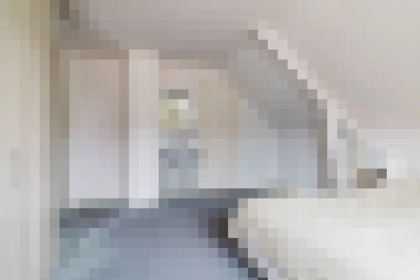 Hegedyk 26 Langezwaag thumbnail 56
