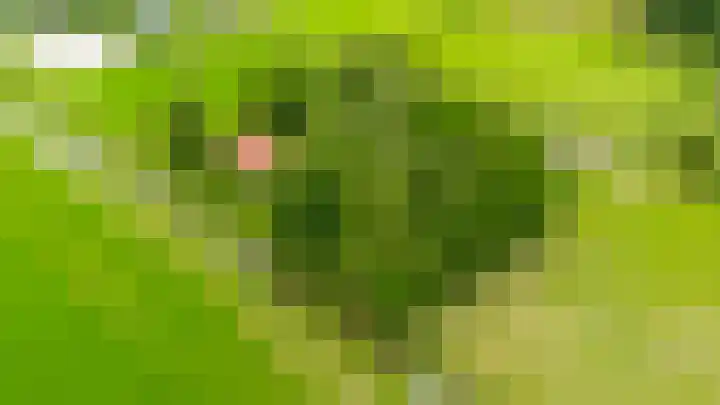 Hegedyk 36 Langezwaag thumbnail 10