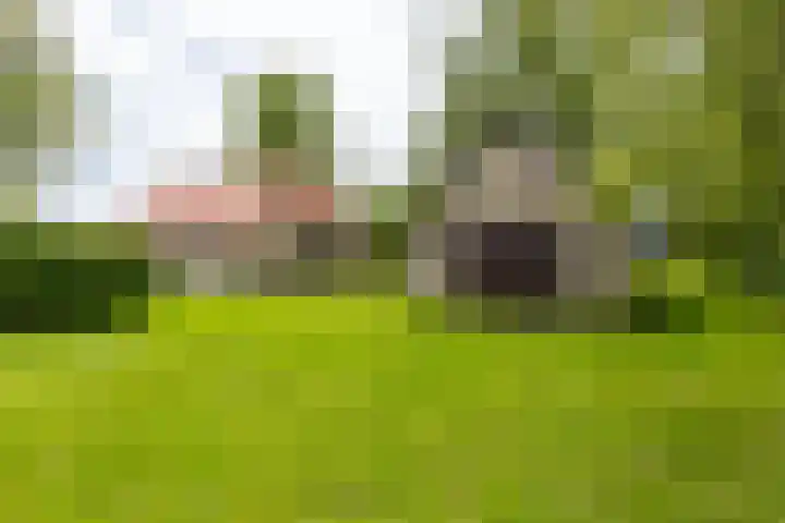 Hegedyk 36 Langezwaag thumbnail 11