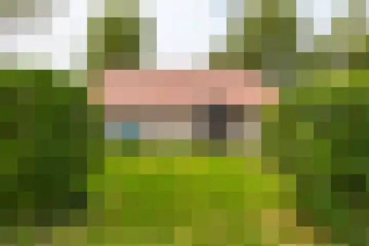 Hegedyk 36 Langezwaag thumbnail 12