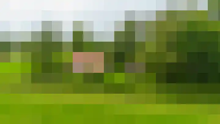 Hegedyk 36 Langezwaag thumbnail 13