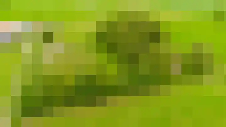 Hegedyk 36 Langezwaag thumbnail 14