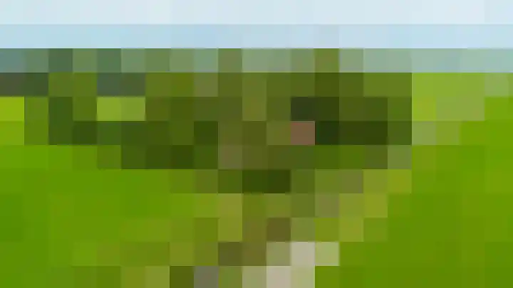Hegedyk 36 Langezwaag thumbnail 15