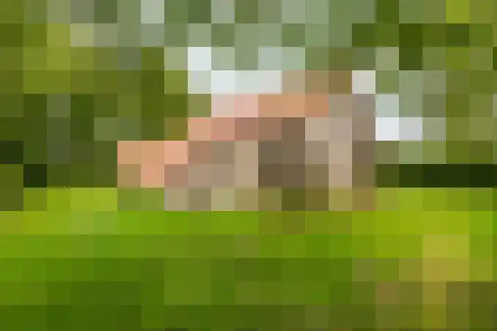 Hegedyk 36 Langezwaag thumbnail 16