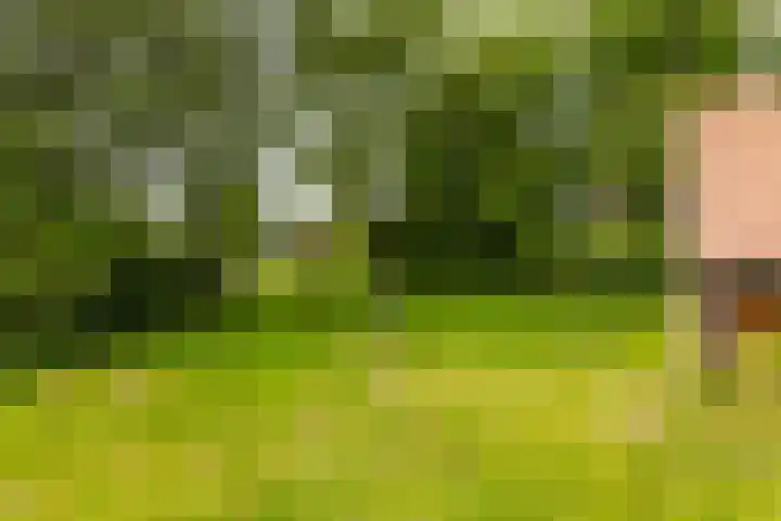 Hegedyk 36 Langezwaag thumbnail 18