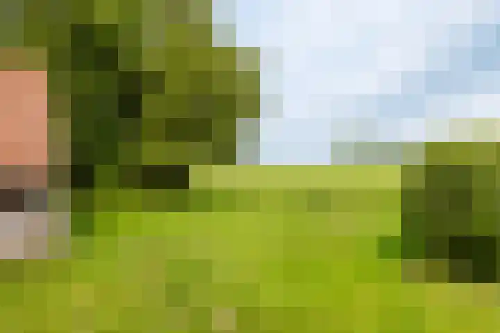 Hegedyk 36 Langezwaag thumbnail 19