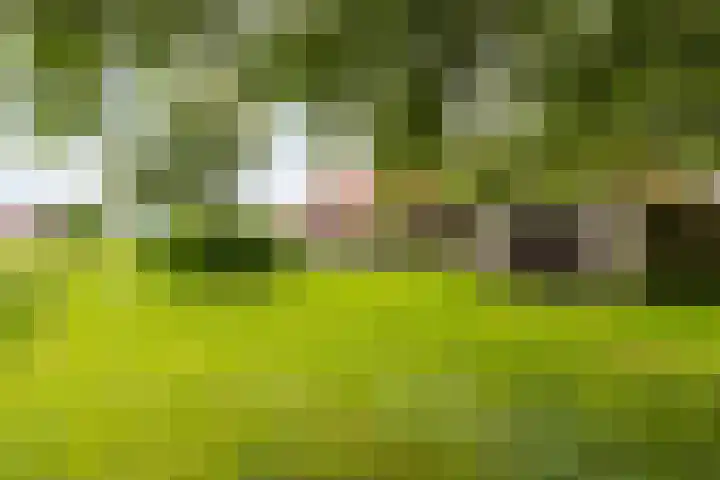 Hegedyk 36 Langezwaag thumbnail 24