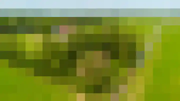 Hegedyk 36 Langezwaag thumbnail 28
