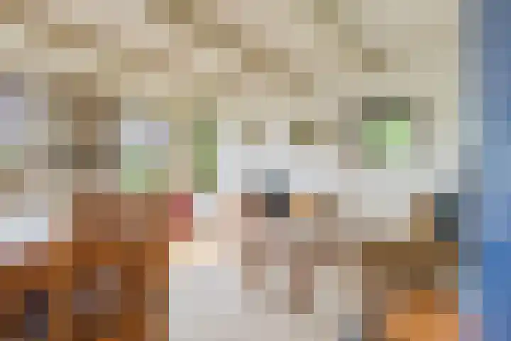 Hegedyk 36 Langezwaag thumbnail 30