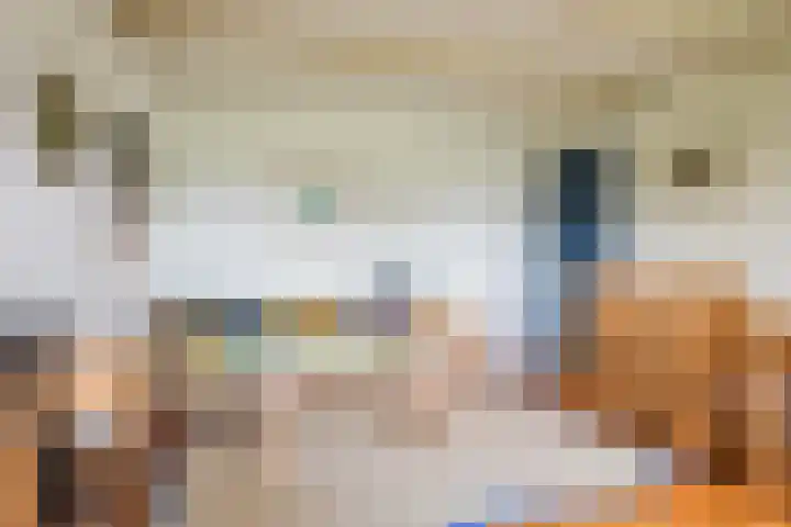 Hegedyk 36 Langezwaag thumbnail 33