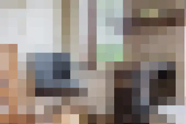 Hegedyk 36 Langezwaag thumbnail 34