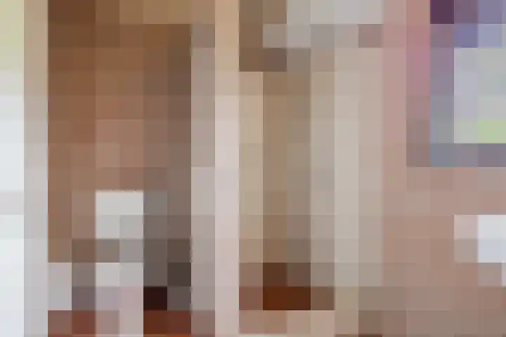 Hegedyk 36 Langezwaag thumbnail 41