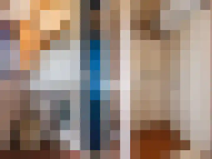 Hegedyk 36 Langezwaag thumbnail 42