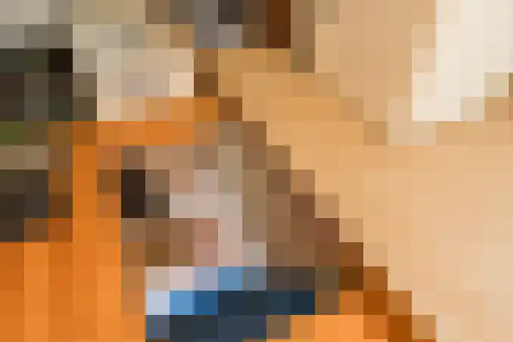 Hegedyk 36 Langezwaag thumbnail 44