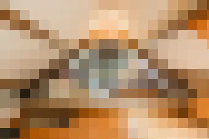 Hegedyk 36 Langezwaag thumbnail 45
