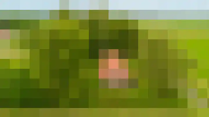 Hegedyk 36 Langezwaag thumbnail 8