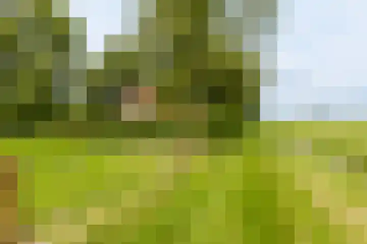 Hegedyk 36 Langezwaag thumbnail 9