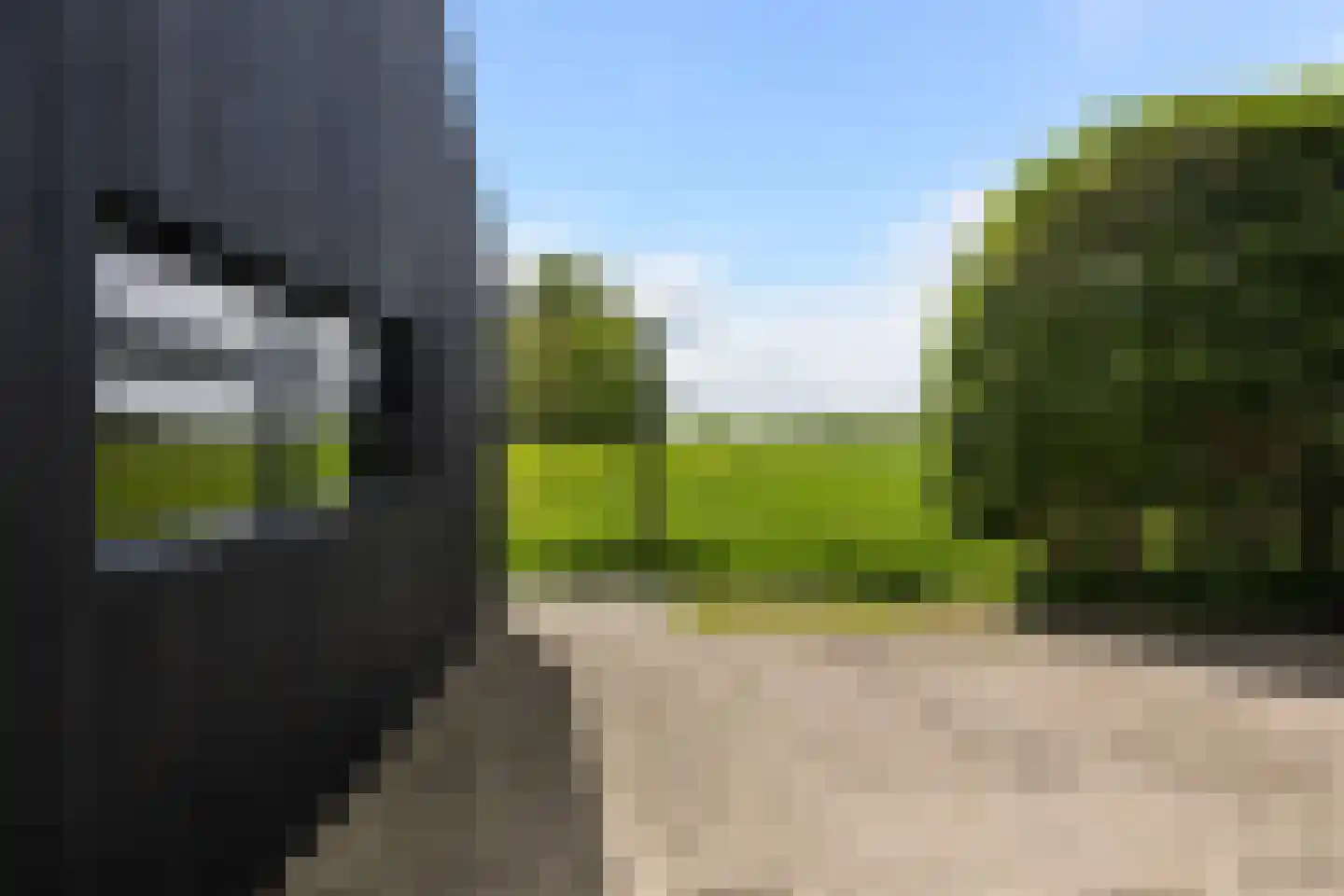 Hegedyk 38 Marsum thumbnail 12