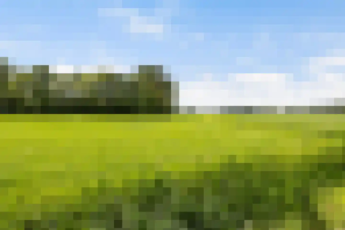 Hegedyk 38 Marsum thumbnail 13