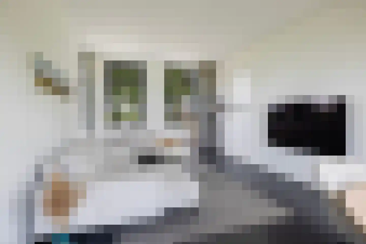 Hegedyk 38 Marsum thumbnail 18