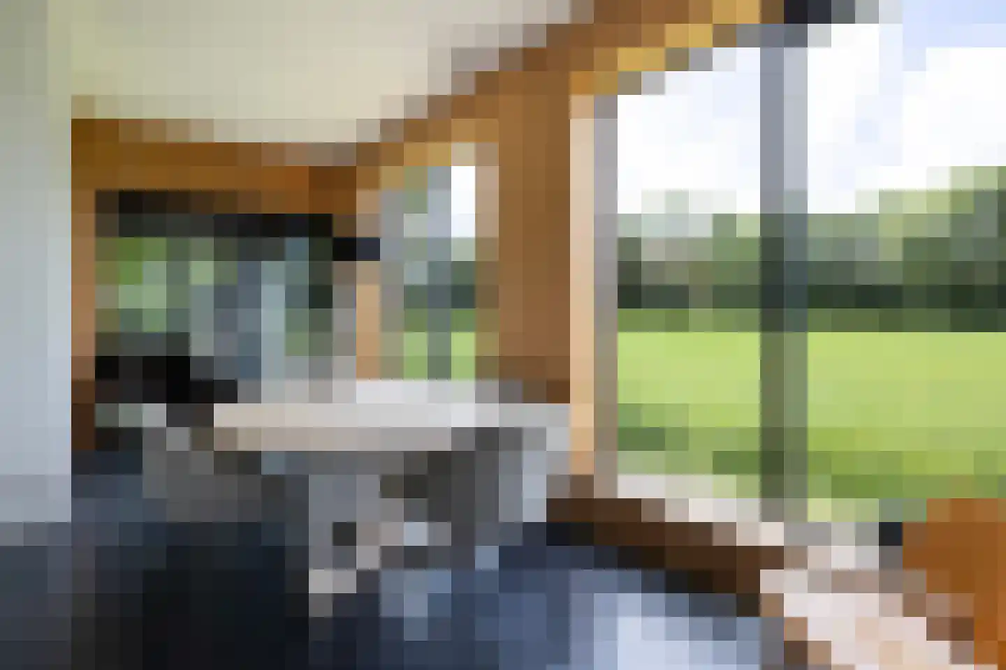 Hegedyk 38 Marsum thumbnail 22