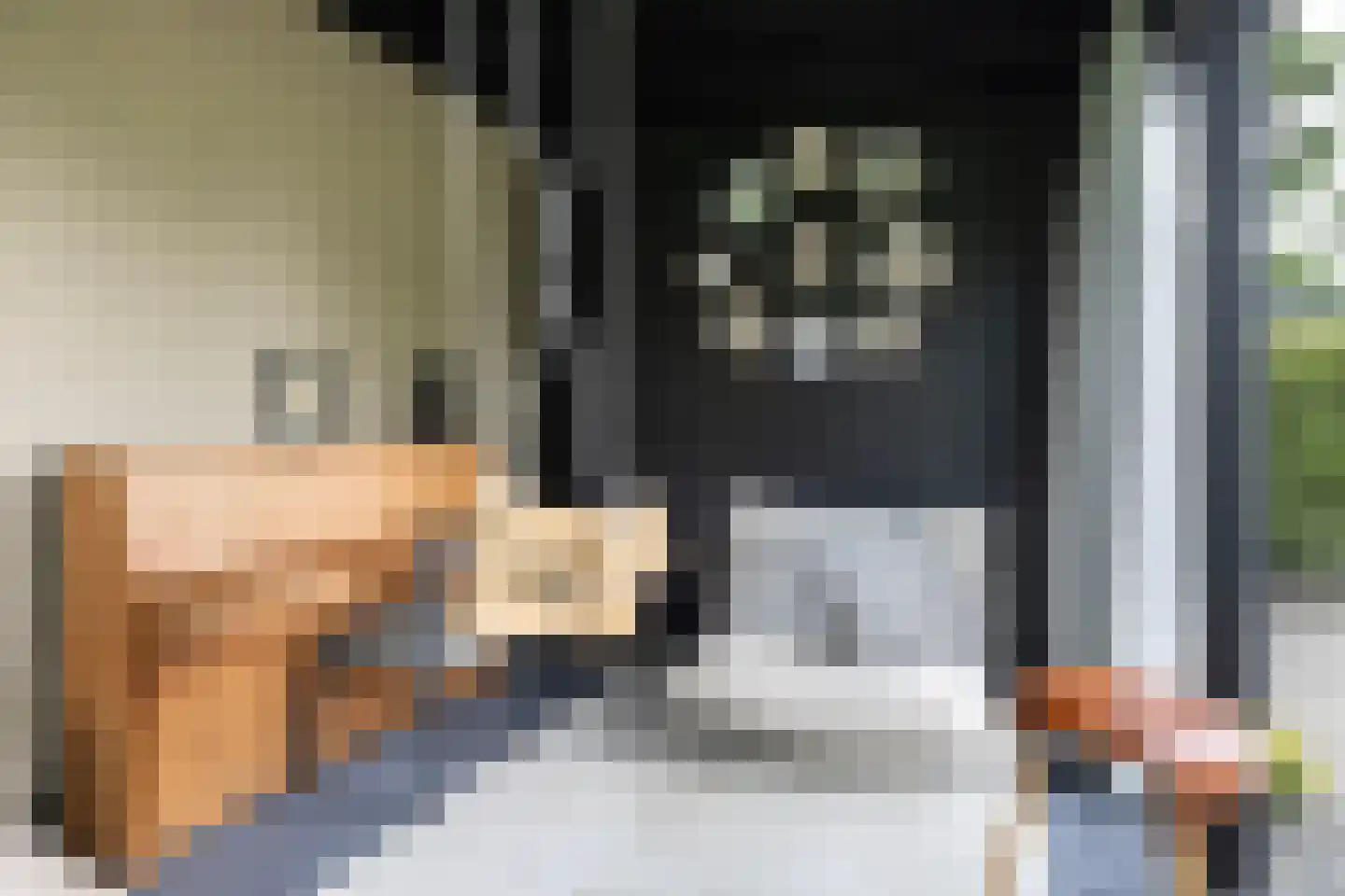 Hegedyk 38 Marsum thumbnail 25