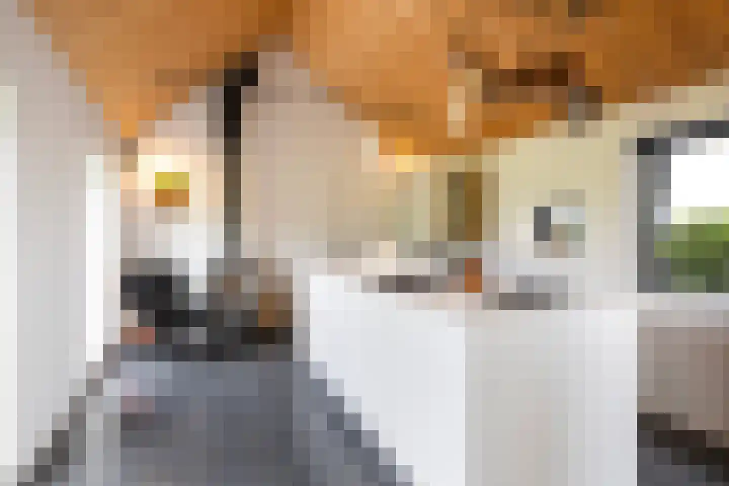 Hegedyk 38 Marsum thumbnail 28